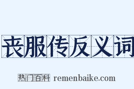 丧服传反义词是什么意思的图片